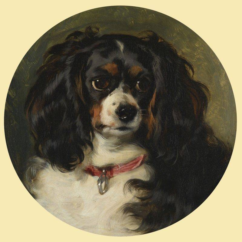 Dash Was A King Charles Spaniel Dog Owned By Queen Victoria By Edwin