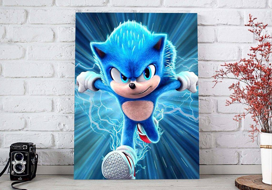 Sonic Custom Poster, Sonic The Hedgehog Rolled Canvas, Custom Sonic ...