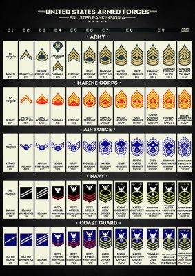 Digital Art - United States Armed Forces Enlisted Rank Insignia By ...